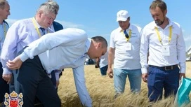 В Оренбуржье продолжают создавать дополнительные мощности для хранения зерна