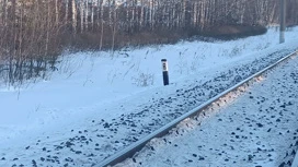 Подросток в наушниках погиб под поездом в Томской области