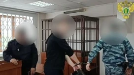 За сбыт наркотиков 17-летний житель Марий Эл отправится в колонию на 5,5 лет