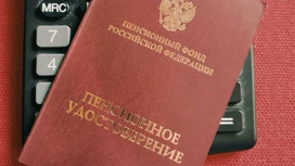 В ГД внесен проект о включении времени работы на Украине в пенсионный стаж в РФ