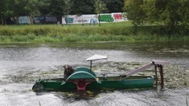 Акваторию Уводи в Иванове очищают от водорослей перед Днем города