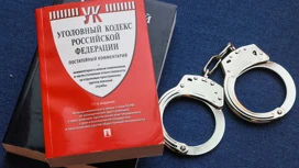 In Transbaikalia, a woman received a sentence for public calls to extremism