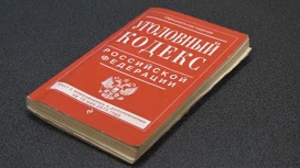 Подорвавший железную дорогу под Рязанью обвиняется в девяти тяжких преступлениях