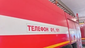 Три человека погибли в результате пожара в жилом доме в Тамбовской области