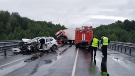 Два человека травмированы в ДТП на трассе в Тюменской области