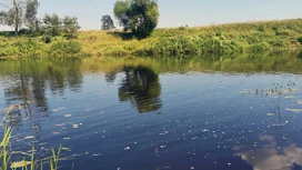 В реке Елнать в Ивановской области утонул мужчина