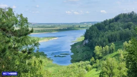 В Томской области ликвидировали 10 лесных пожаров за неделю