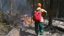 Пожарный, пропавший в тайге Якутии, найден живым спустя 10 дней