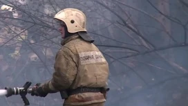 В МЧС Прикамья предупредили о высокой пожарной опасности