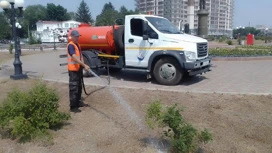 Десятки тонн воды тратят на полив городских цветников в Благовещенске каждый день