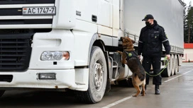 Въезд автомобилей с белорусскими номерами в Латвию запрещен со вторника