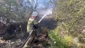 В Новороссийске тушат огромный пожар