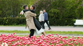 Vilfand ha chiesto ai moscoviti di non aspettarsi una primavera turbolenta all'inizio di marzo.