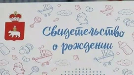 В Прикамье начался прием заявок на единовременную выплату на рождение ребенка участников СВО