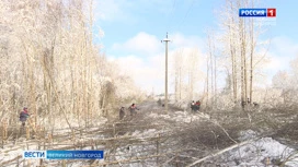 В Новгородской области  193 населённых пунктов уже шестые  сутки остаются без  электроснабжения