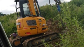 Бесхозные скотомогильники в Приамурье проверяют на биобезопасность