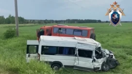 Стали известны новые подробности о страшном ДТП с микроавтобусом