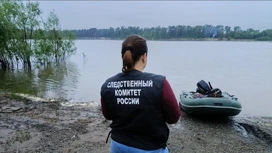 Уголовное дело возбудили в Томской области после гибели девочки в реке Чулым