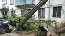 Два человека пострадали во время урагана в Москве