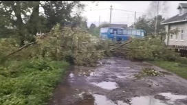 В Даниловском районе продолжают устранять последствия урагана