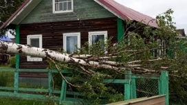 По всему региону устраняют последствия сильного ночного урагана