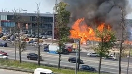 Пожарные пытаются справиться с масштабным возгоранием в Подмосковье