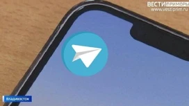 Telegram оштрафован на 240 тыс. за обнародование персональных данных россиян