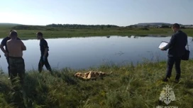 Двое детей утонули в Челябинской области