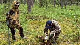 Поисковики Коряжмы вернулись из экспедиции в районе станции Низовка