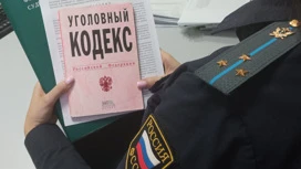 Убегавшего от следствия нерадивого отца будут судить за неуплату алиментов