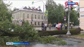 Энергетики и коммунальные службы Новгородской области продолжают устранять последствия непогоды