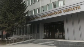 Quattro cittadini Novosibirsk saranno mandati in tribunale in caso di vendita fittizio di auto