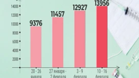 In the Krasnoyarsk Territory, the incidence of SARS and influenza continues to grow