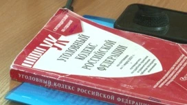 Жительницу Рыбинска обвиняют в нападении на сотрудника полиции