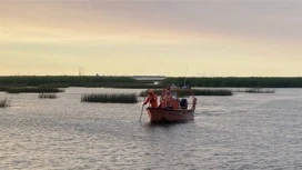 Семилетнюю девочку унесло в лодке в Финский залив