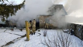 В селе под Липецком горящий жилой дом тушили пожарные МЧС и добровольцы