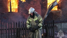 В Иванове пожарные спасли мужчину из горящего дома