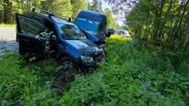 Восемь человек пострадали в ДТП на трассе в Карелии