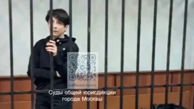 Суд в Москве отправил в колонию кричавшую о ненависти к русским Джоган