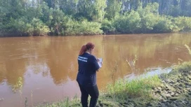 В Томской области мальчик утонул, спасая сестру