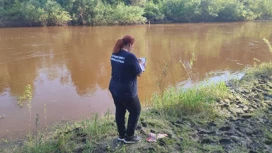 Уголовное дело возбуждено после гибели ребенка в реке Шегарка Томской области