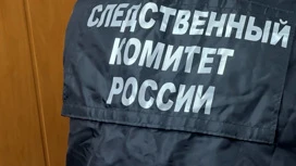 СК завершил расследование убийства в свинарнике красноярской школьницы