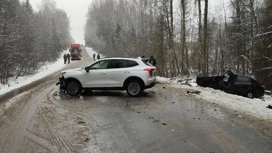 В ДТП в Ярославской области погиб ребенок