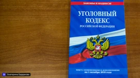 Директора томской организации подозревают в неуплате налогов на 104 млн рублей