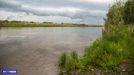 Десять человек погибли в водоемах Томской области в этом году