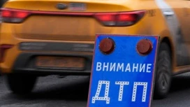 Двое погибли и двое пострадали в ДТП с фурой в Рязанской области