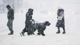 ビルト:ロシア連邦の3地区で異常に寒い天候が予想される