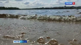 Центральный пляж Липецка закрыли из-за загрязнения через месяц купального сезона