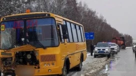 Бензовоз врезался в автобус с детьми в Нижегородской области