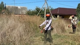 В Краснодаре скосили сорняки на шести тысячах гектаров